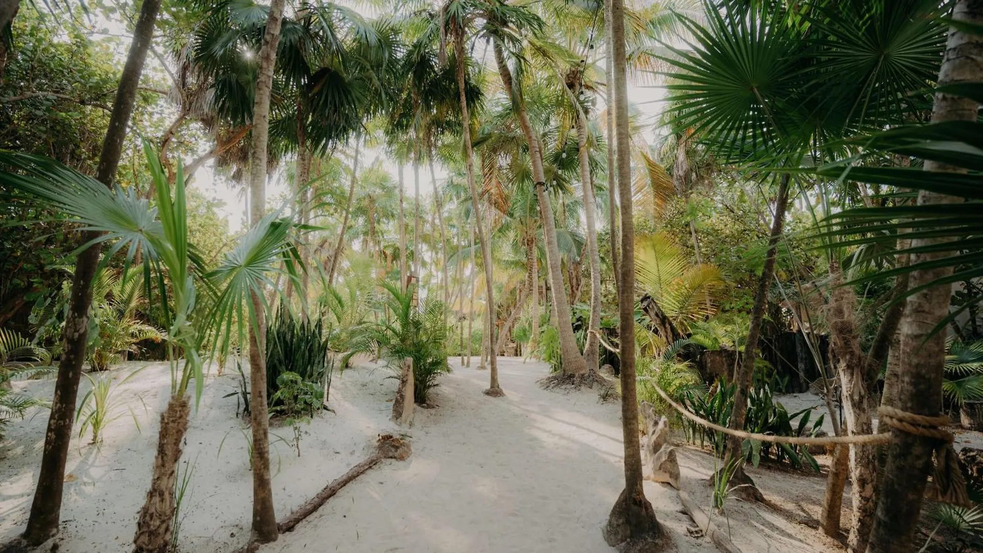 Apartment Premium Condo With Private Terrace And Pool View Tulum