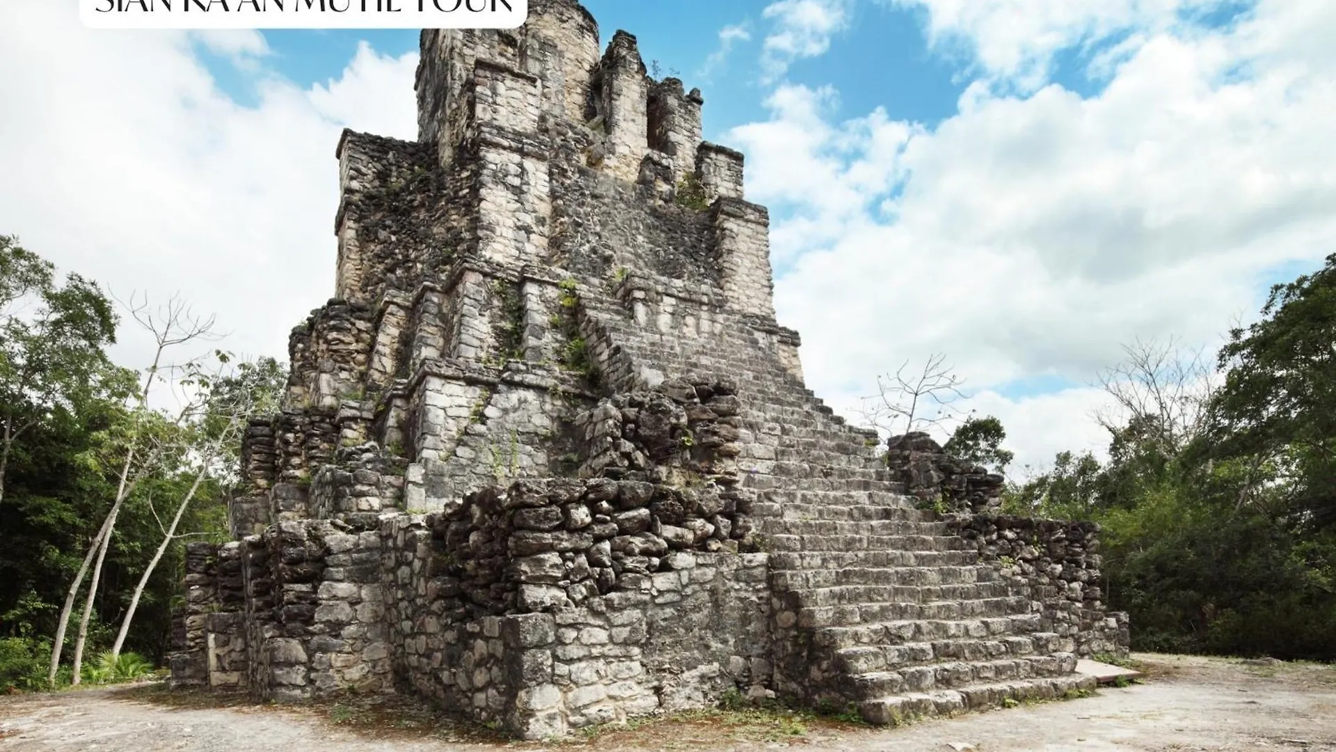 Premium Condo With Private Terrace And Pool View Tulum Apartment